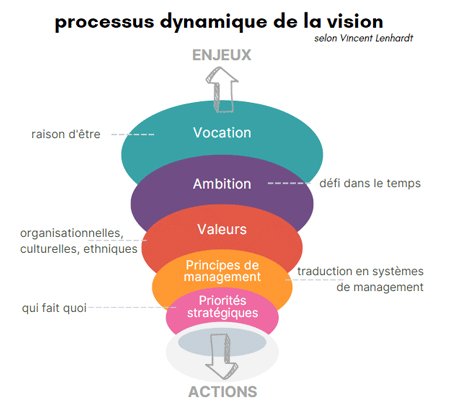 schéma de la vision selon Lenhardt